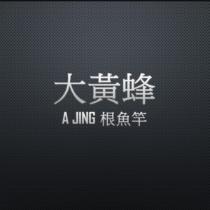 Kuying 酷影 大黃蜂 A JING 根魚竿