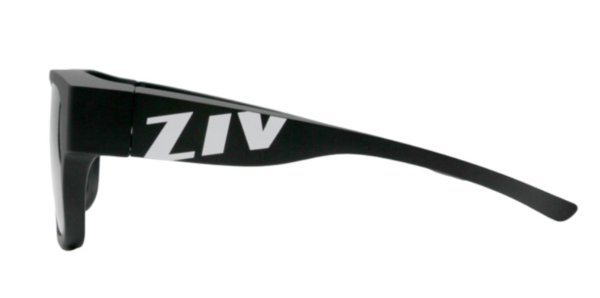 ZIV 太陽眼鏡 (108)
