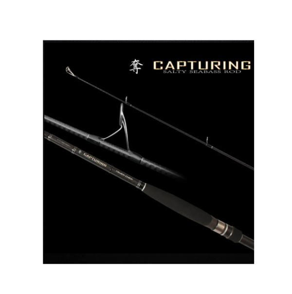寸真 奪 CAPTURING 岸拋路亞竿