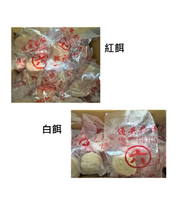 阿六練餌 紅餌 白餌