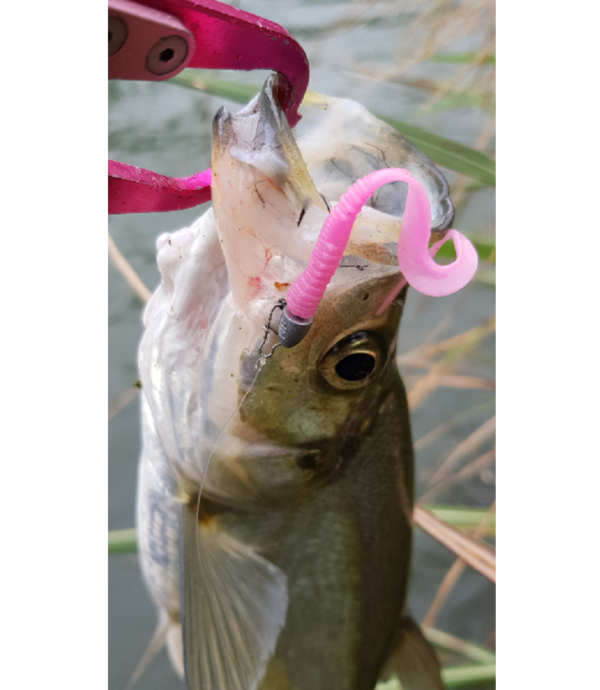 SAME 莎之美 S.P.莎美強力別針 別針 強力別針