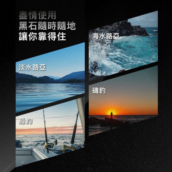 FENGSHAN 丰山 黑石 碳纖線 110M